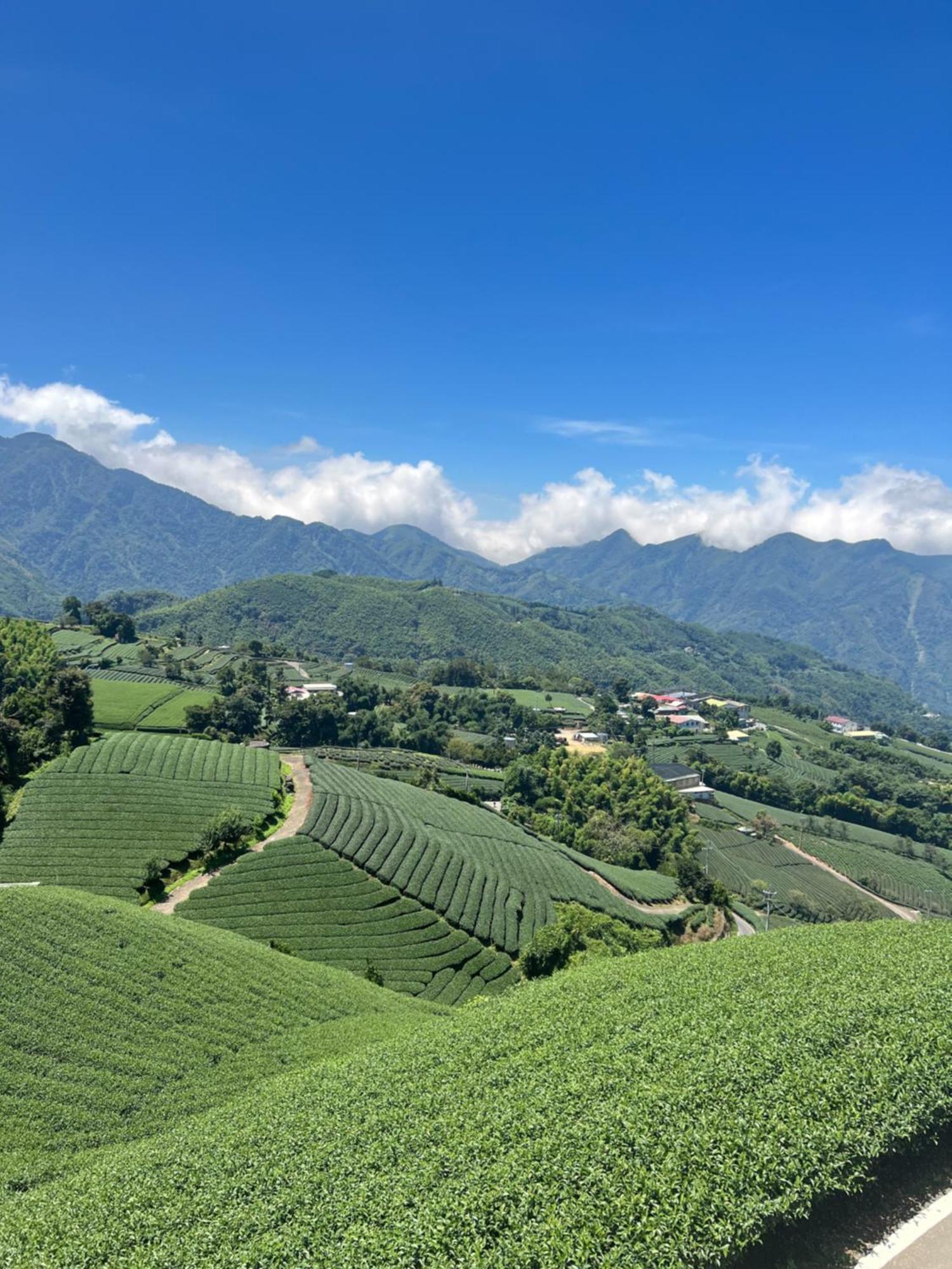 Gaodiyuan Tea B&B 高帝園茶業民宿 Meishan Exteriör bild