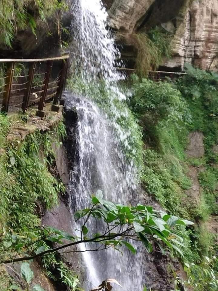 Gaodiyuan Tea B&B 高帝園茶業民宿 Meishan Exteriör bild