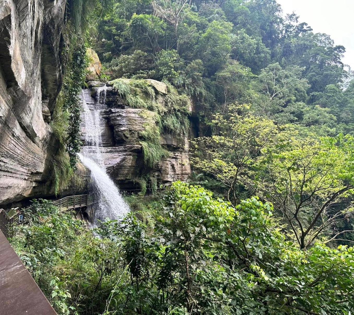 Gaodiyuan Tea B&B 高帝園茶業民宿 Meishan Exteriör bild